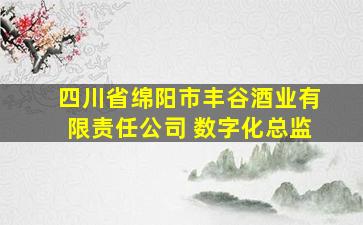 四川省绵阳市丰谷酒业有限责任公司 数字化总监